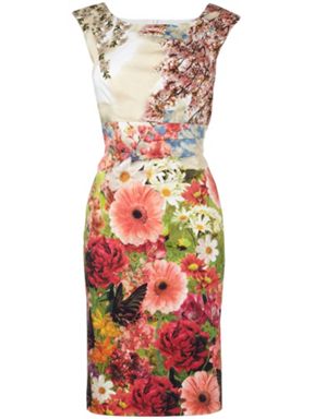 PE01 Phase Eight Flora Side Pleat Dress 