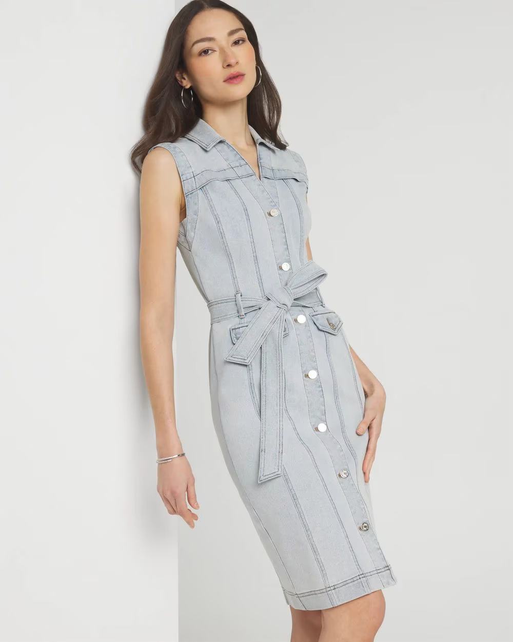 WDSD01 WHBM Denim Dress