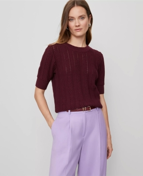 ATCWST01 Ann Taylor Cable Wedge Sweater